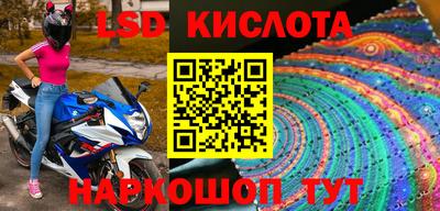 стаф Будённовск