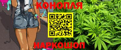 стаф Будённовск