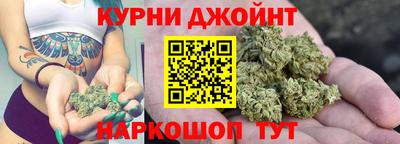 стаф Будённовск