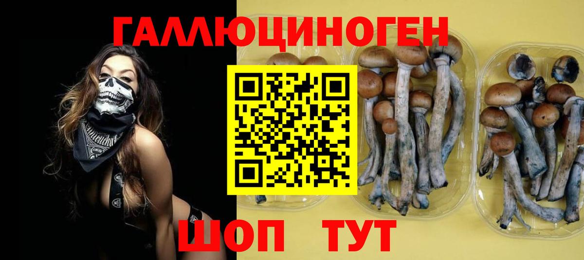 Люберцы  Галлюциногенные грибы MAGIC MUSHROOMS  Вход с VPN  Галлюциногенные грибы GOLDEN TEACHER 